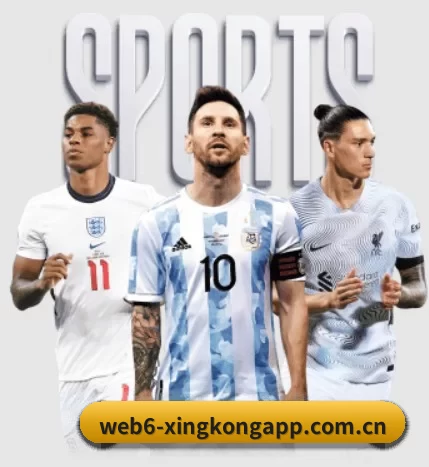 五大体育板块覆盖,从比分到直播全覆盖