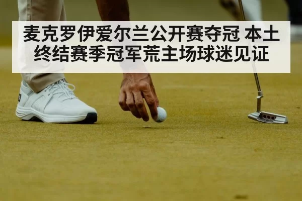 麦克罗伊爱尔兰公开赛夺冠 本土终结赛季冠军荒主场球迷见证